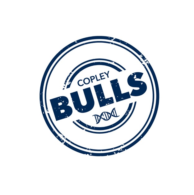Copley Bulls
