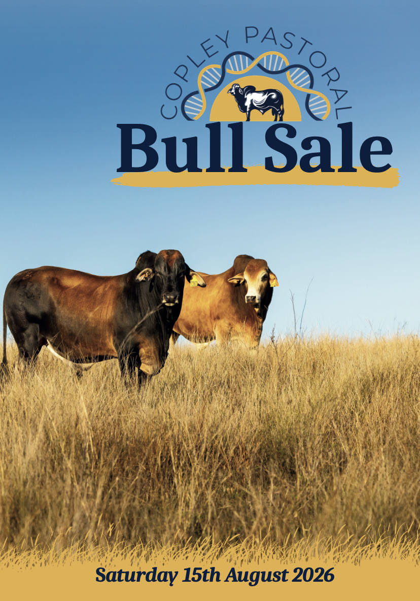 Copley Bull Sale 2026
