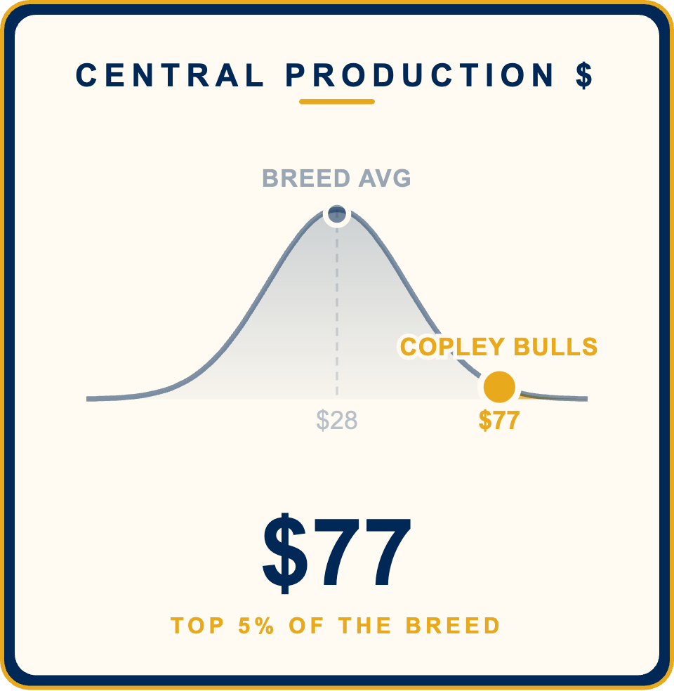 Central Production Copley Bull Sale 2026